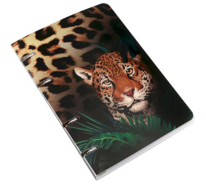 ������� �� ������� 80� �� �������� ������� ������� 15-5824