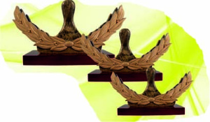 ��������� ��� ������� ������� 15,5�� ����� �� ���������� RFS3533