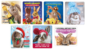 ������ � �������� ����� (����������) 60�70�� 15.16.01523*29*31*36*38*42*48