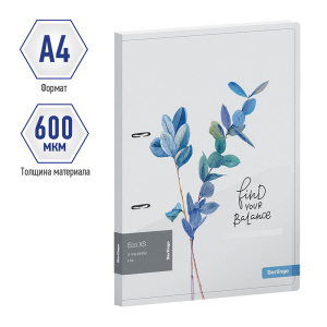 ����� 2 ������ �4 Berlingo Eco XS 24�� � �������� ������� � �������� RB4_2D802