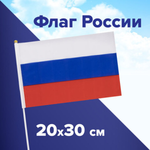 ���� �� 20*30 � ���������� ����������� ���� 550181