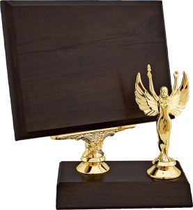 �������� �� ���������� ������� 20�15�� � �������� ���� 1453-200-079