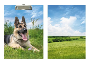 ������� �4 �������� ������ ��� ������� 30�01_327