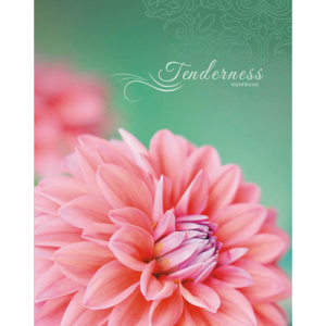 ������� �� ��� �5 64� ����-����� ����� �������� ��� ���564105