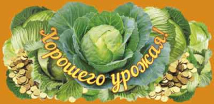 ������� ��� ����� �������� ������ ��-11334