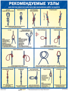 ������ ������������� ���� ��� ������ ��������� ������� ��� ���������� ����� �� ������ 600*800�� ����