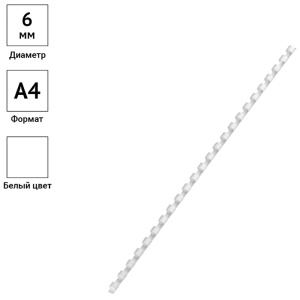 ������� 6�� 20�